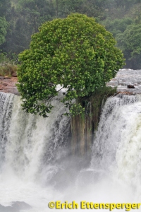 Cachoeira da Velha