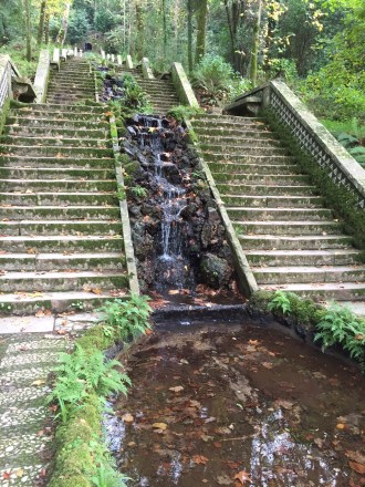 Caminhos ladeados de muito verde
