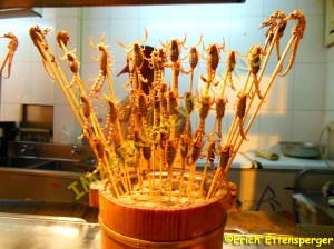 Churrasquinho de escorpião