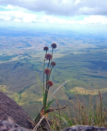 Vista deslumbrante a partir do Monte Roraima.