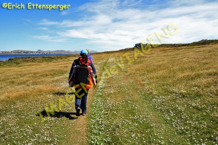 Trilha da Ilha Falkland Leste