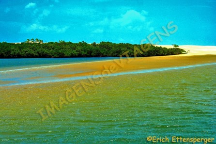 Mangue e mar/Mangue und das Meer/Mangue and the sea