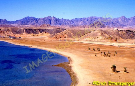 No Mar Vermelho, na Península do Sinai / Am Roten Meer auf der Sinai-Halbinsel / At the Red Sea on the Sinai Peninsula