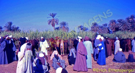 Mercado típico no Alto Egito / Typischer Markt in Oberägypten / Typical market in Upper Egypt