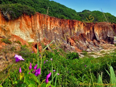 As falésias formadas por rochas sedimentares da Formação Barreiras/ Die Klippen von Sedimentgesteinen von Barreiras gebildet/ The cliffs formed by sedimentary rocks of Barreiras