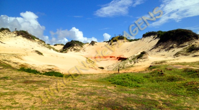 PARQUE DAS DUNAS: RIQUEZA AMBIENTAL DE NATAL/PARK DER DÜNEN: DER REICHTUM DER UMWELT IN NATAL/THE „PARK OF DUNES“ THE WEALTH OF  THE ENVIRONMENT OF NATAL