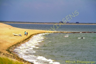 Praias da ilha /Strände /Beaches