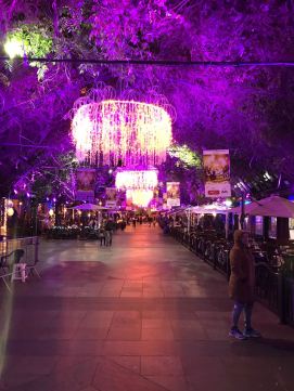 Rua Coberta / Straße Coberta / Street Coberta