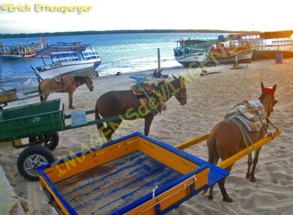 O táxi de Galinhos.../ Taxi in Galinhos