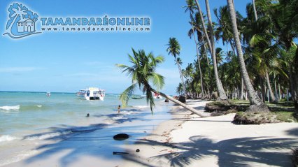 Praia dos Carneiros/Strand Praia dos Carneiros/Carneiros Beach. Fonte/source: http://www.praiadetamandarecarneiros.com/tamandare_carneiros_fotos.html