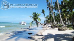 Praia dos Carneiros/Strand Praia dos Carneiros/Carneiros Beach. Fonte/source: http://www.praiadetamandarecarneiros.com/tamandare_carneiros_fotos.html