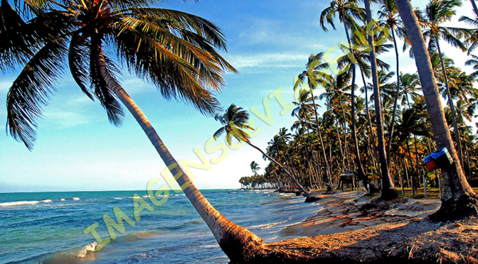 Viagem de férias durante a pandemia