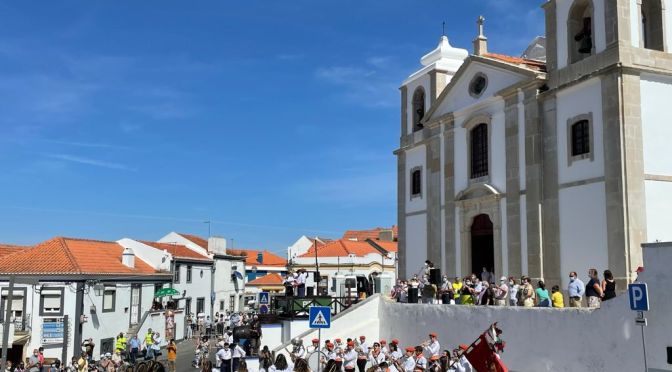 VINDIMAS, Mercado de Vinhos a Pisa da Uva…