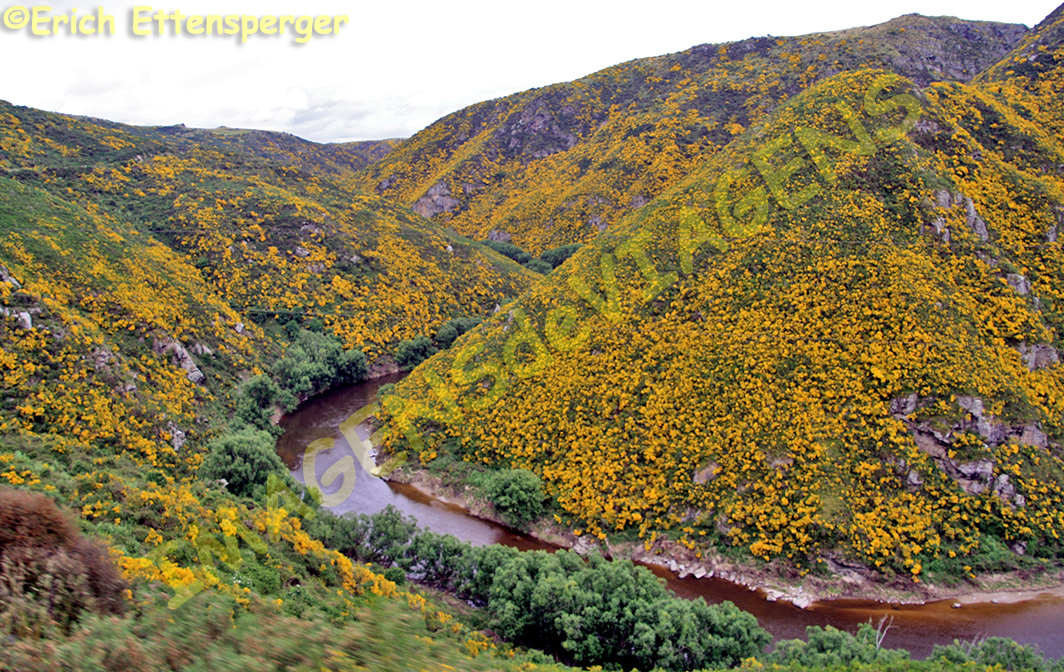 Nova Zelândia, terra de paisagens espetaculares/Neuseeland – Land