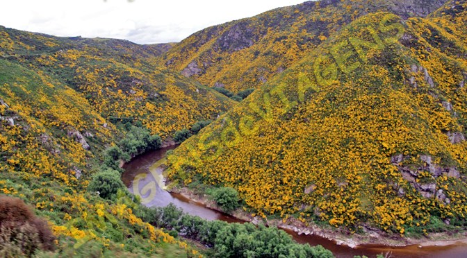 Nova Zelândia, terra de paisagens espetaculares/Neuseeland – Land spektakulärer Landschaften/New Zealand – land of spectacular landscapes