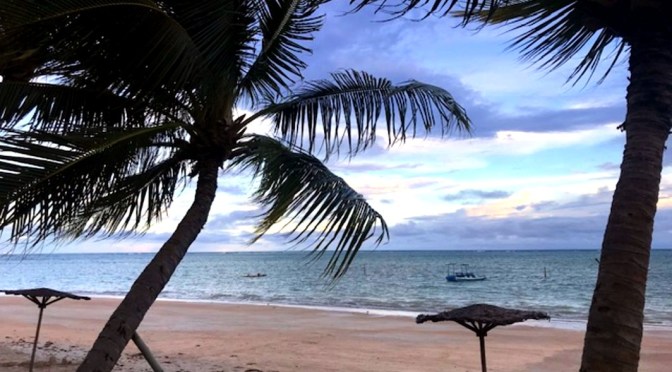 Rota Ecológica, lugar de praias espetaculares/Die „Ökologische Route“ – Ort spektakulärer Strände/The “Ecological Route” – Place of spectacular beaches