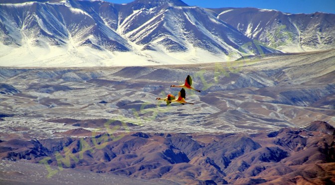 05 Atrativos Espetaculares na América do Sul/5 Spektakuläre Attraktionen in Südamerika/5 Spectacular Attractions in South America