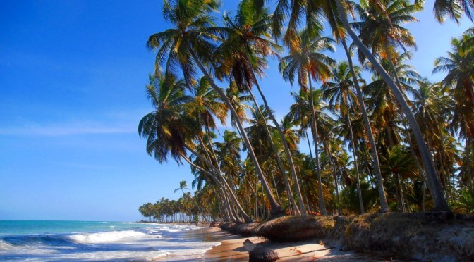 A bela Praia dos Carneiros/Der wunderschöne Praia dos Carneiros/The beautiful Praia dos Carneiros