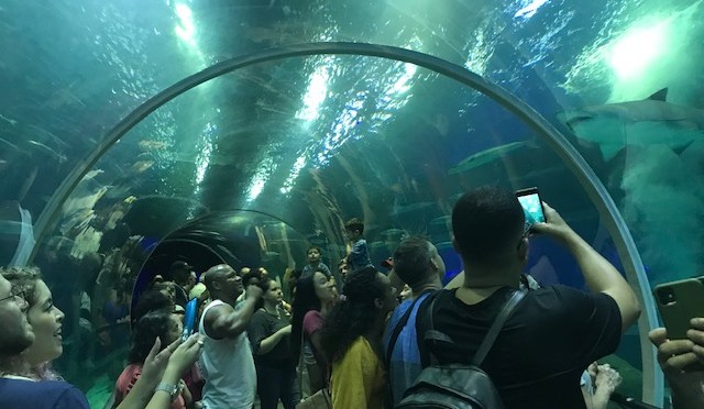 Aquário do Rio de Janeiro, um mundo de água e cores/Aquarium von Rio de Janeiro – eine Welt aus Wasser und Farben/Aquarium of Rio de Janeiro – a world of water and colors